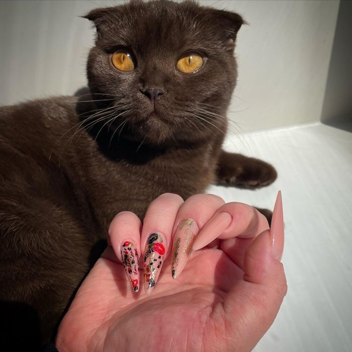 Продаются шикарные котята