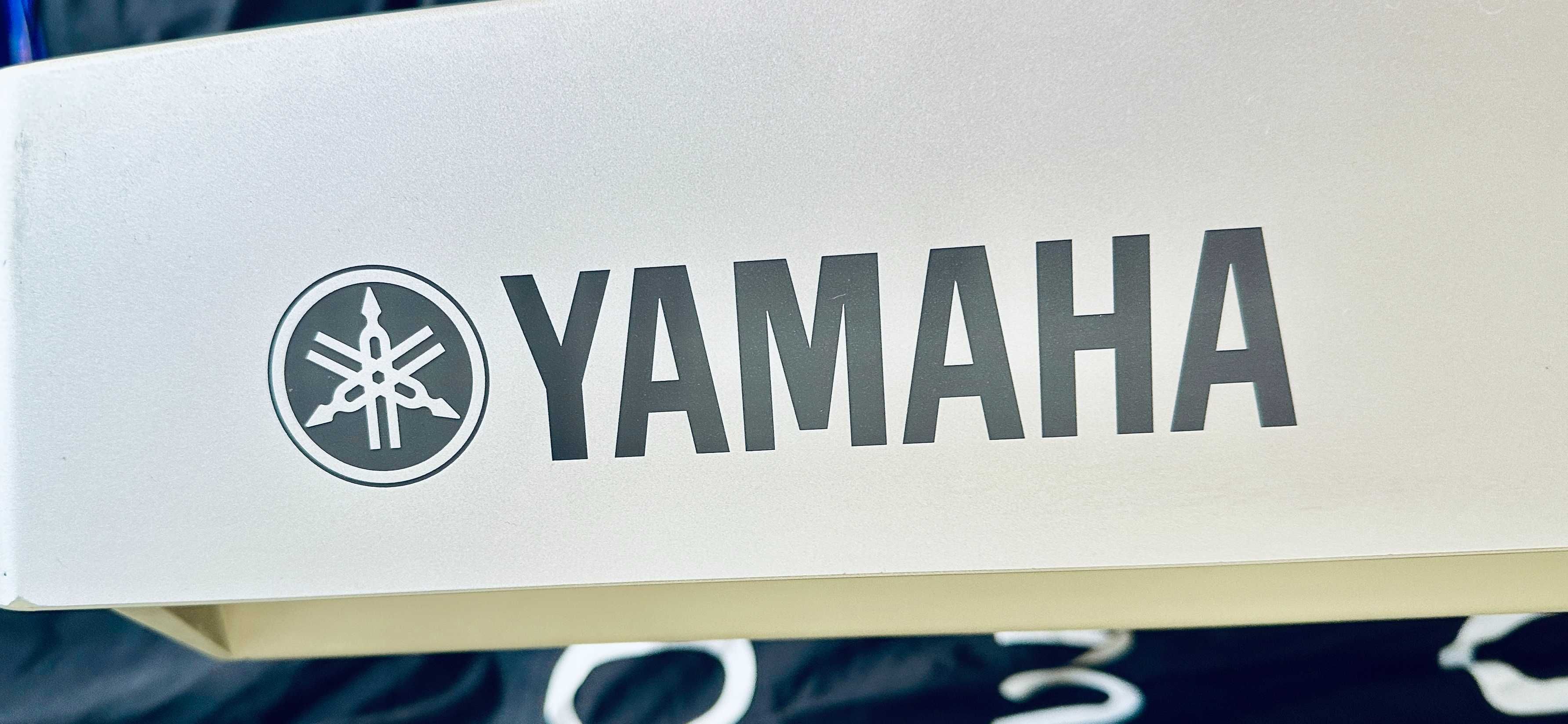 Синтезатор YAMAHA DGH-202