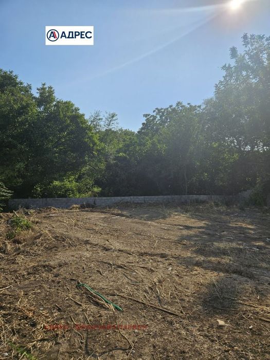 Продава се Парцел в с. Радишево, Област Плевен - 1320 кв.м за 35 €/кв.м - Снимка #2