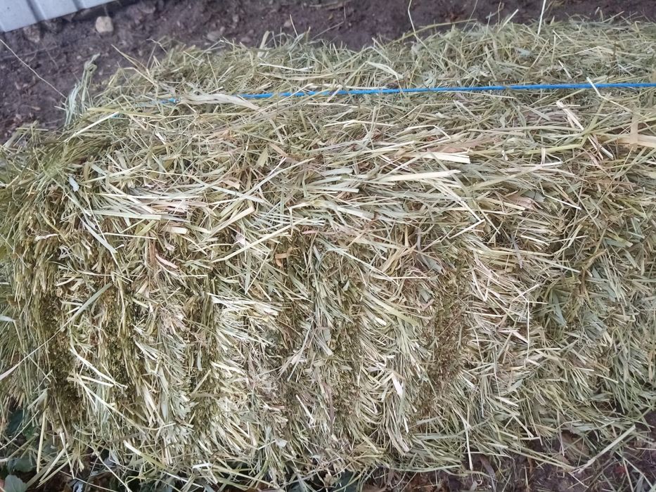 Vând baloți de fân