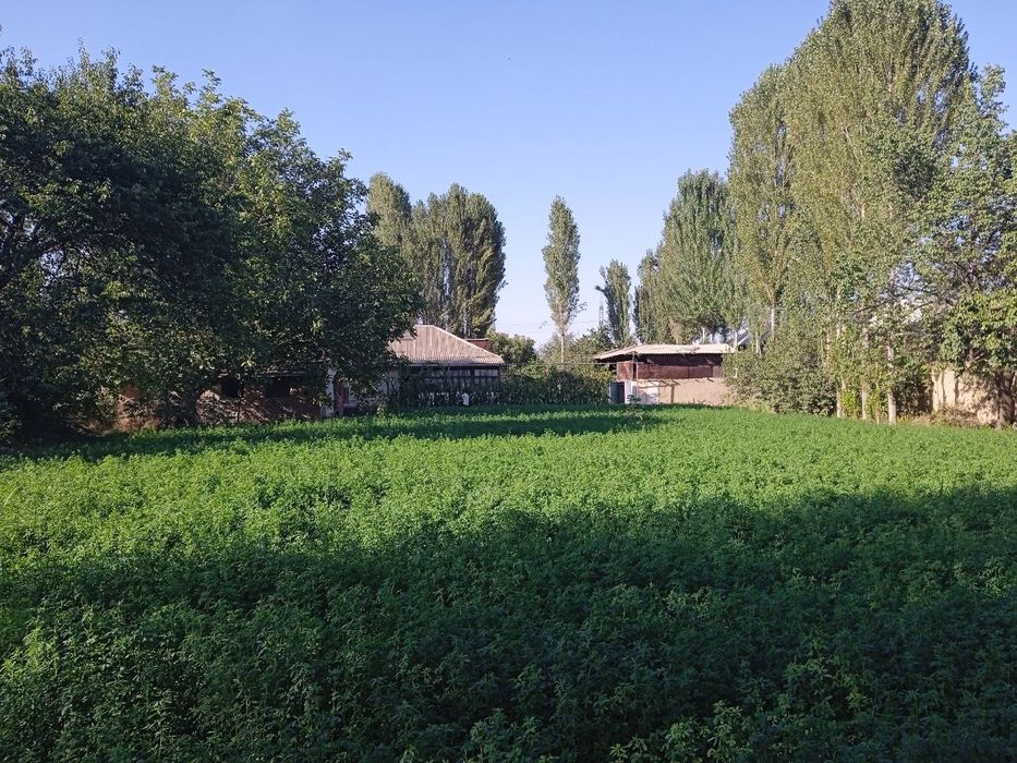 Бостонлик тумани Караманас МФИ да Ховли хонодон ижарага (квартира) бор