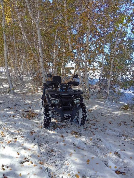 Квадроцикл  200куб тао моторс 2025