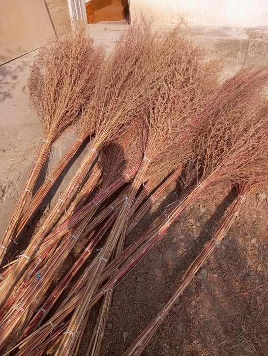 Hovli supurgi venik веник ховли супурги Тошкент бўйлаб доставка бор