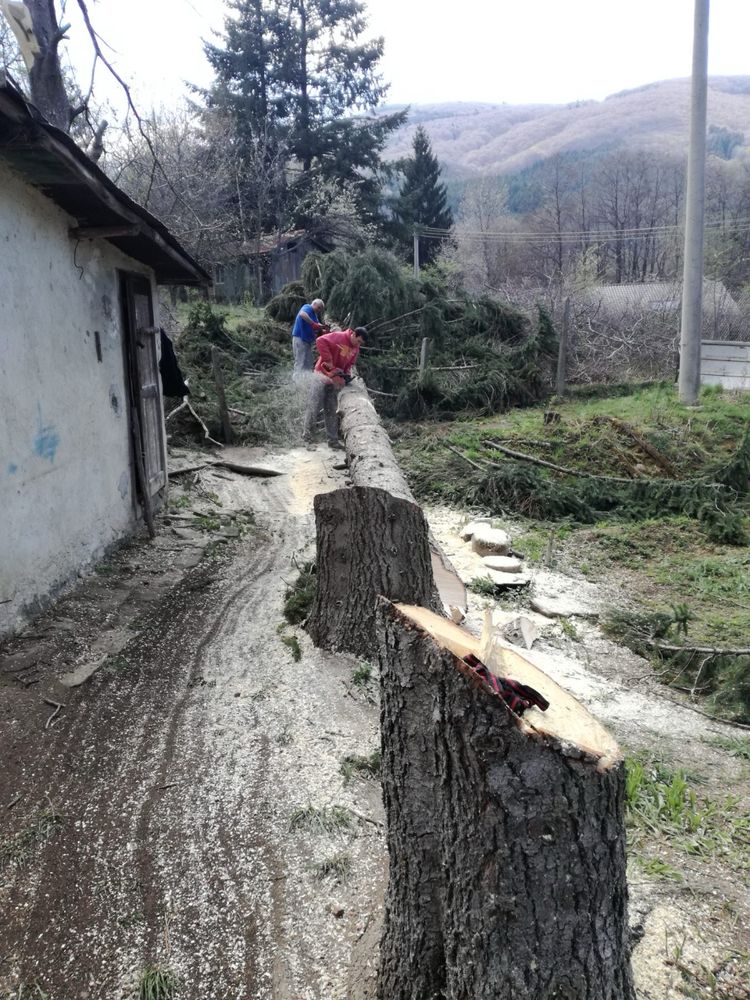 Режа опасни дървета, цепене, подреждане., косене на трева.