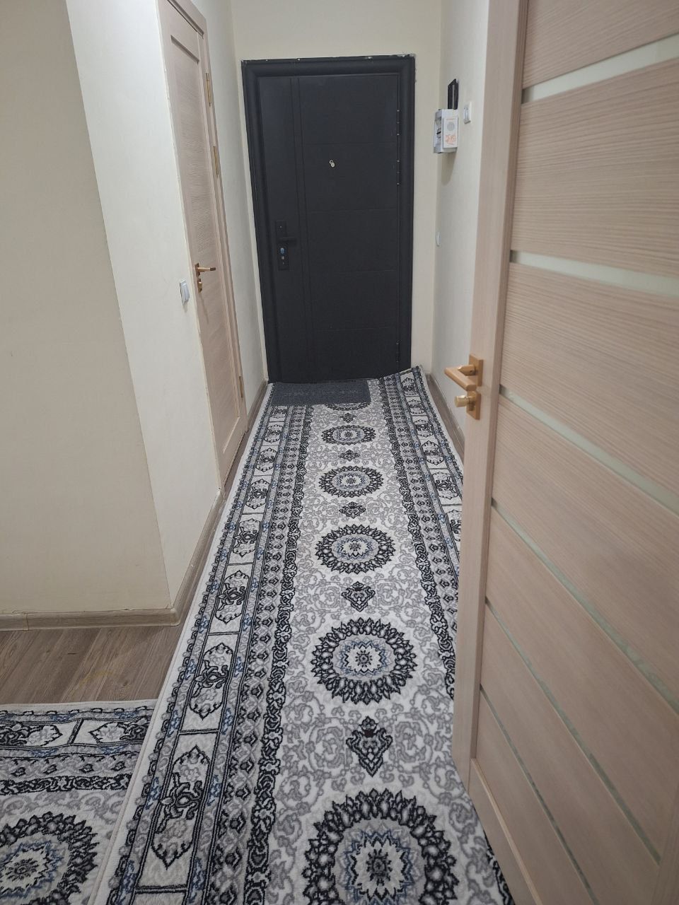 Motrid 2 xonali ijaraga beriladi