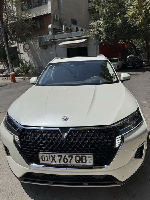 Dongfeng Venucia