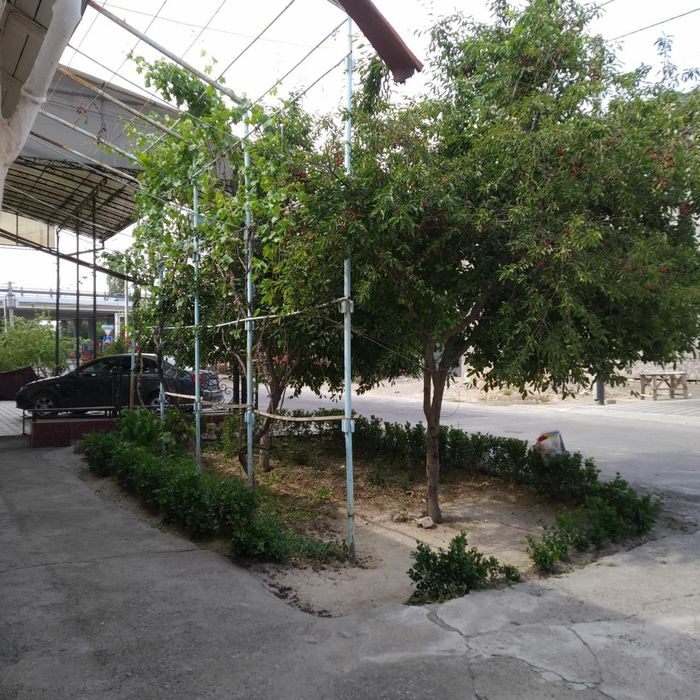 Мискин маҳалла 
2 тарафидан кўчалий
4.55 сотх, 9 хона уй