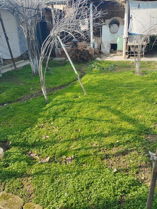 Срочно Ховли Уй Сотилади -Срочно Часный Дом Продаётся!!!