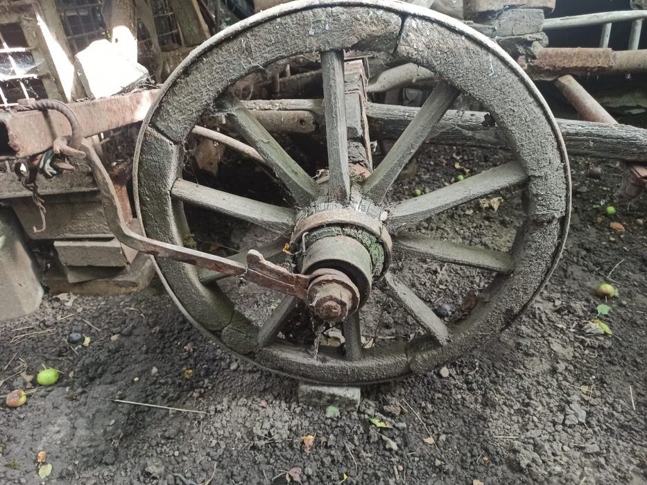 Car de boi 100% autentic