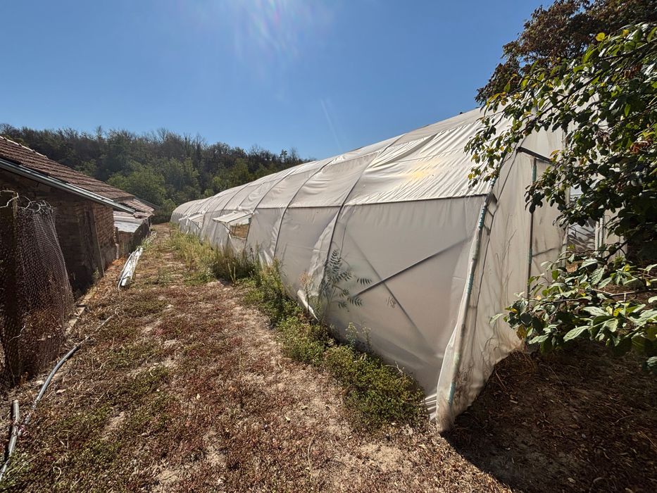 Продавам оранжерии