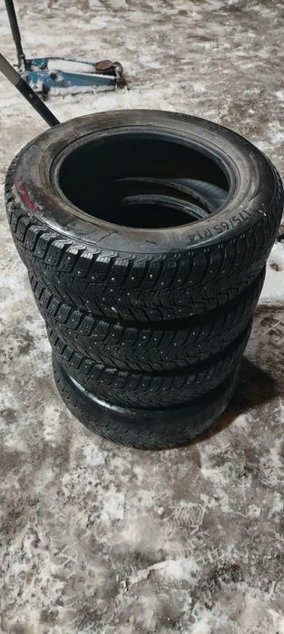 Шыни зимние шыпаме