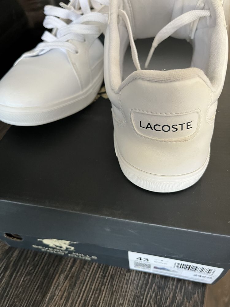 Sneakers Lacoste