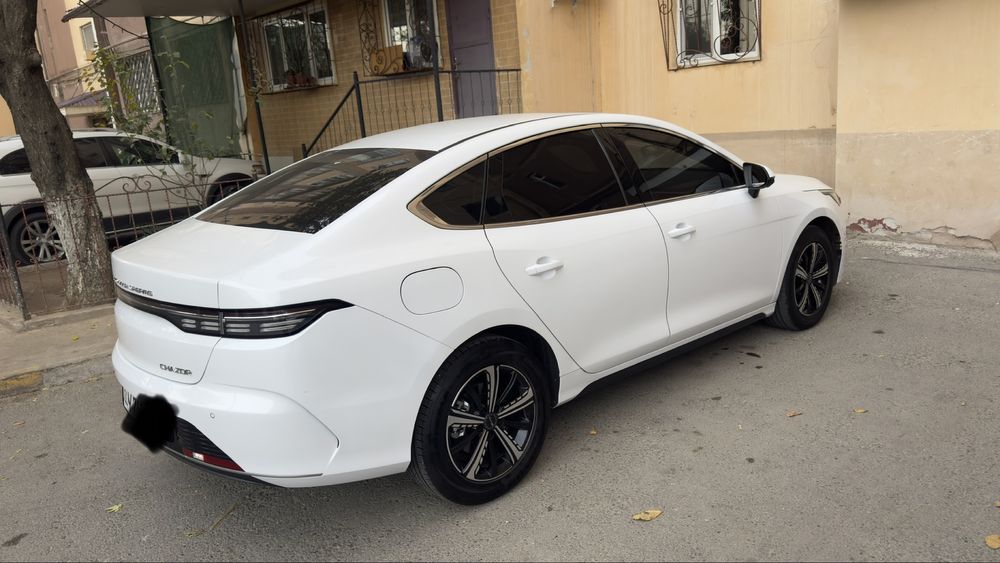 Bvd Chazor  2023 fuul 120