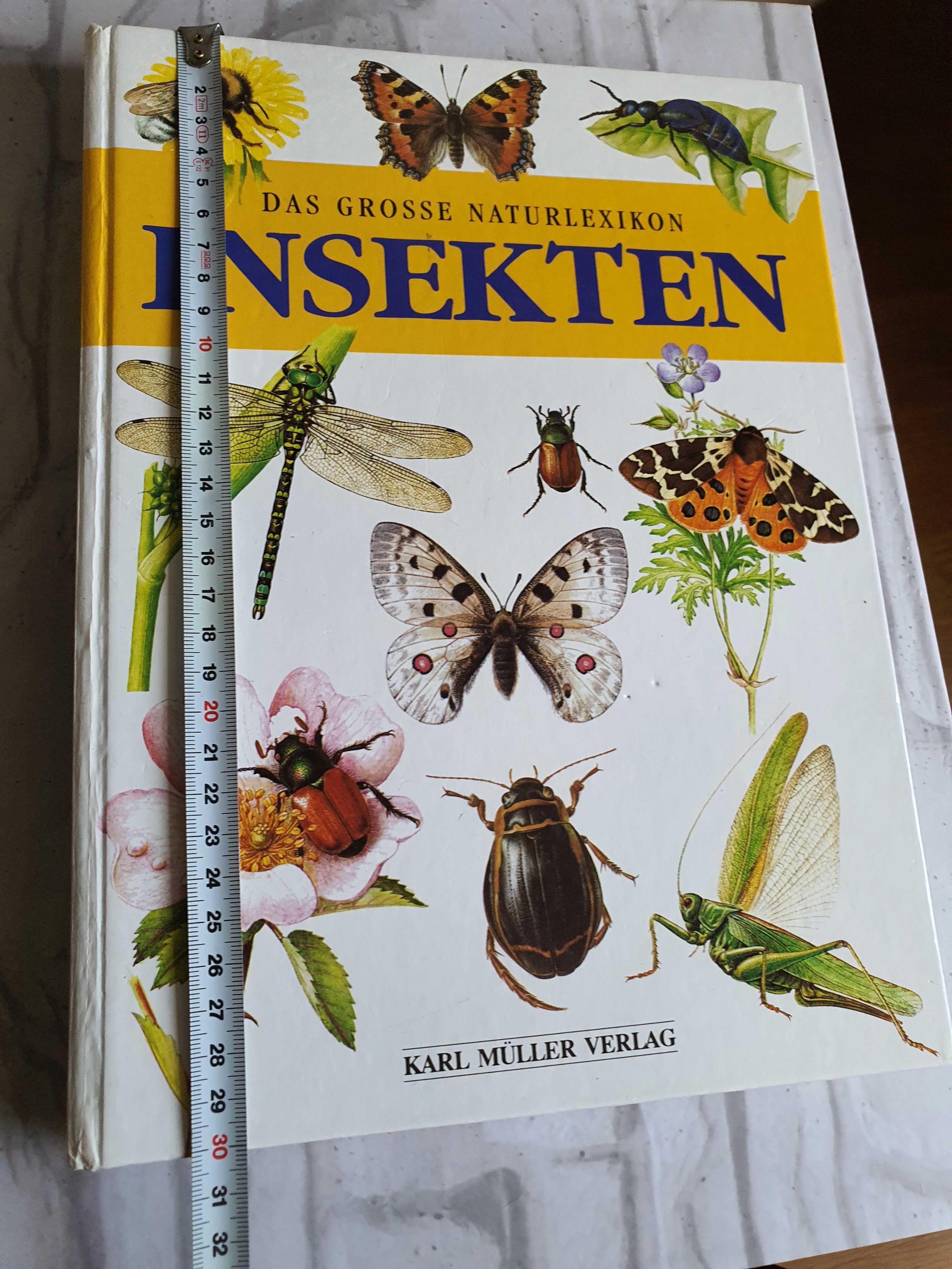 Marea carte a insectelor in limba germana
