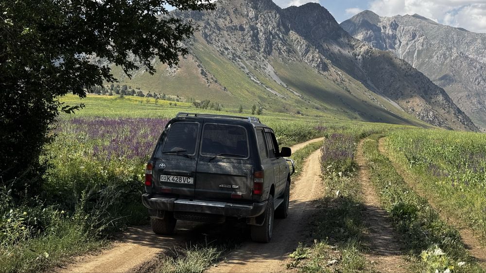 Toyota Land Cruiser 80 (TLC 80) 4.2l 1HZ 1996 год