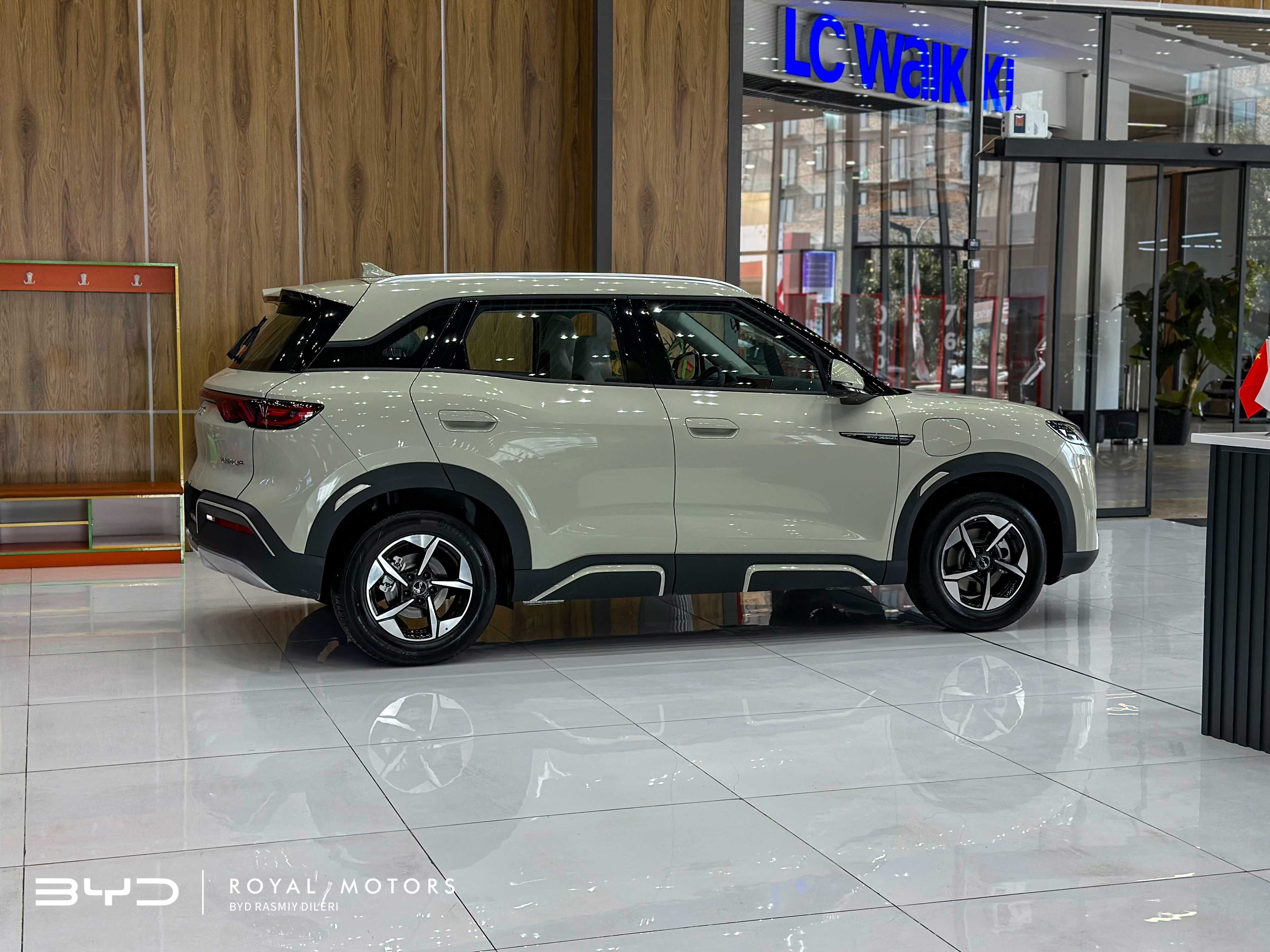 BYD YUAN UP 401 km Flagship
