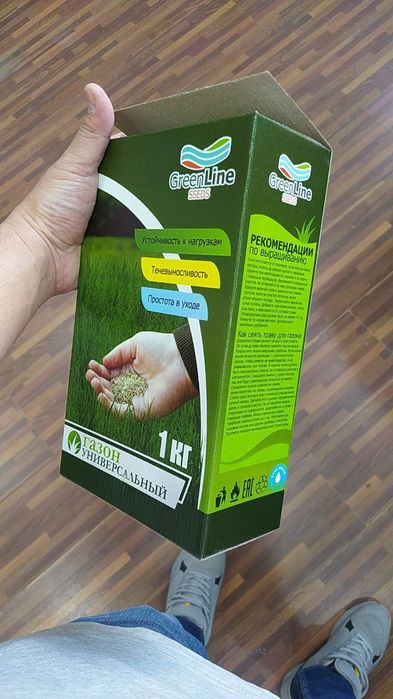 Gazon urugʼi  maysa chim