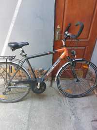 Bicicleta Pegasus Solero