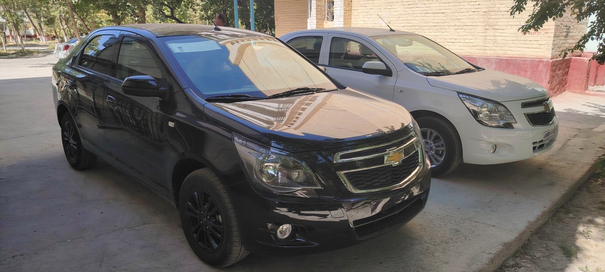 Kobolt Midnight qora propanda