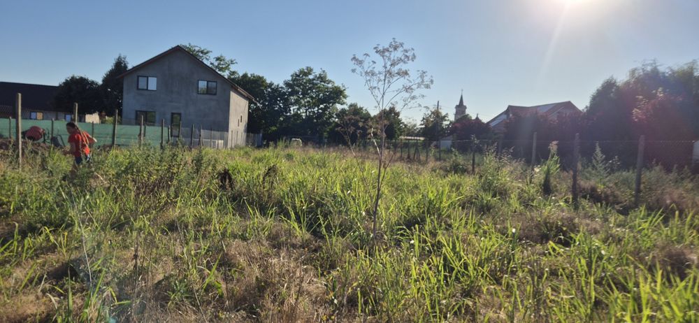 Teren 1000 mp, Oituz (Constanța)