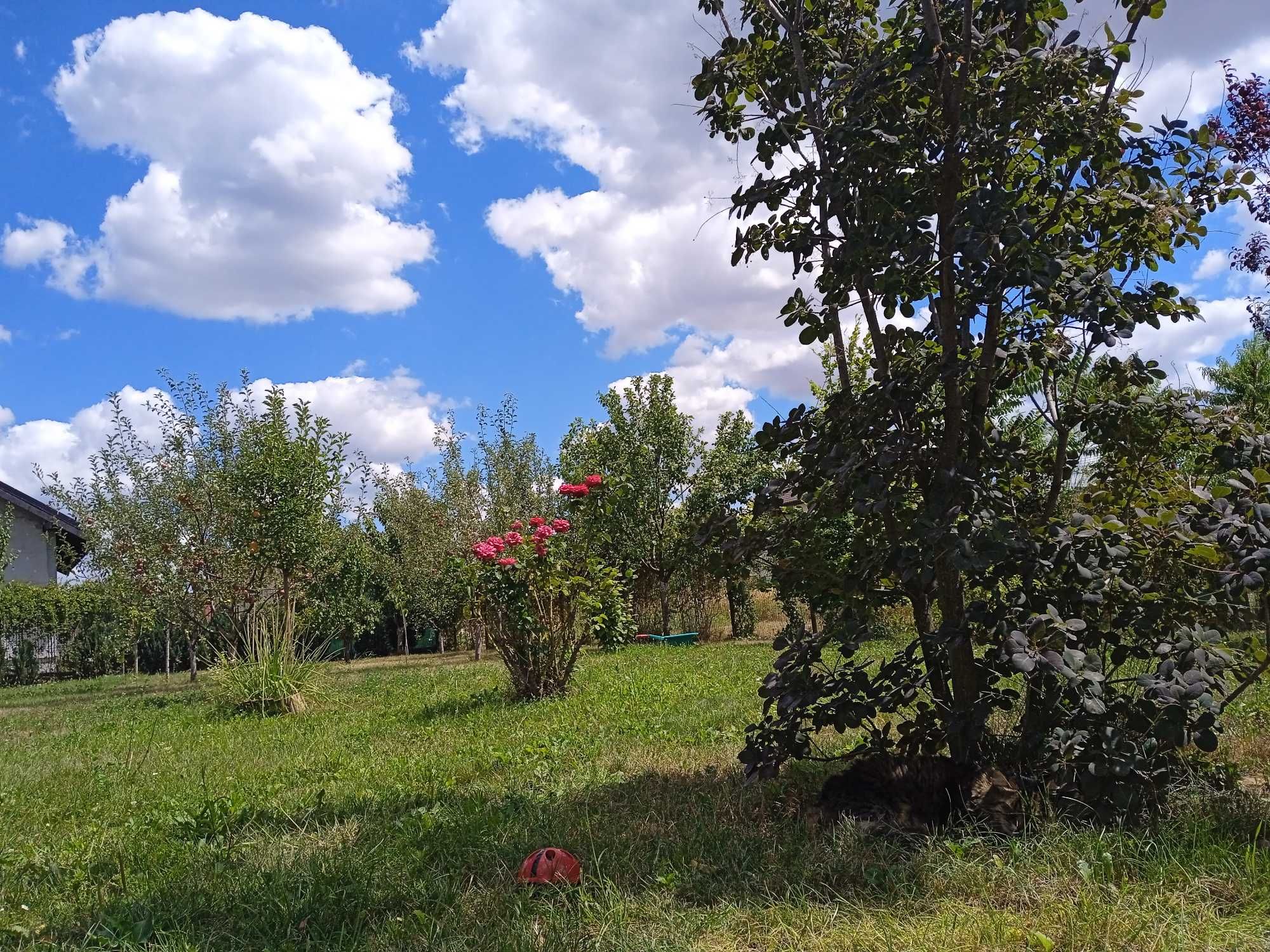 Teren rezidențial in mijlocul naturii Saftica-Ilfov-Bucuresti