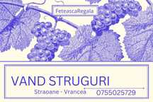Struguri de vanzare/ Feteasca Regala Panciu