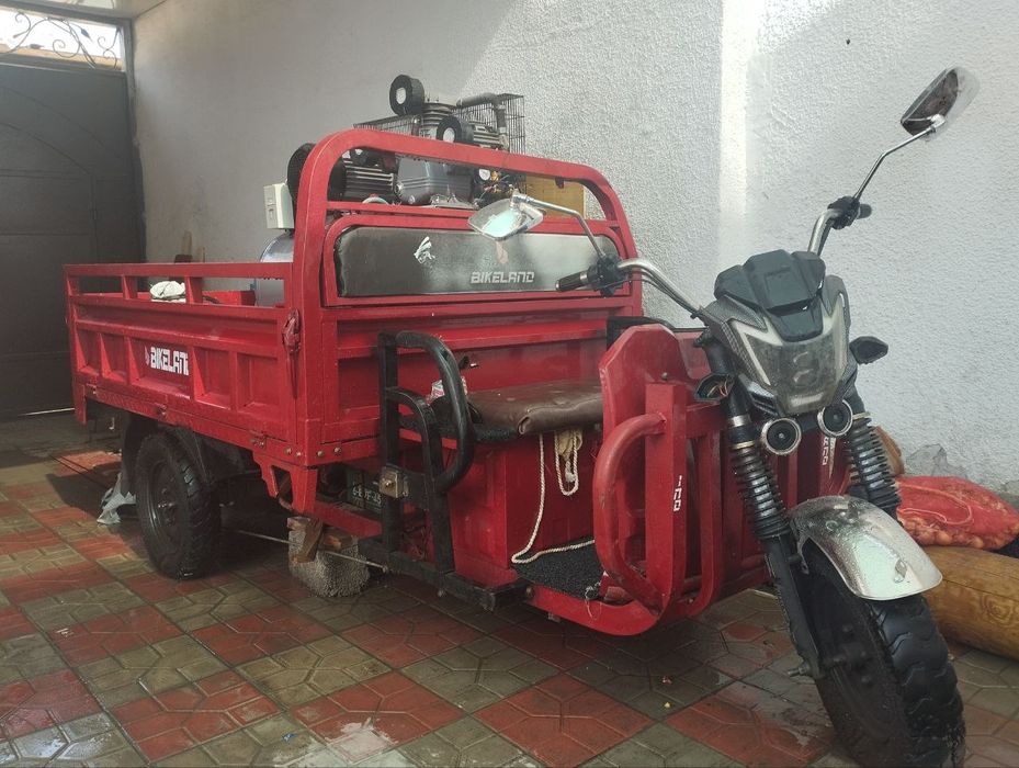 Муравей мотороллер