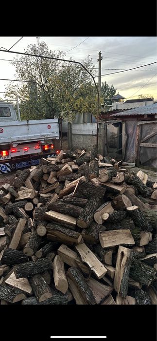 Lemne de foc super pret