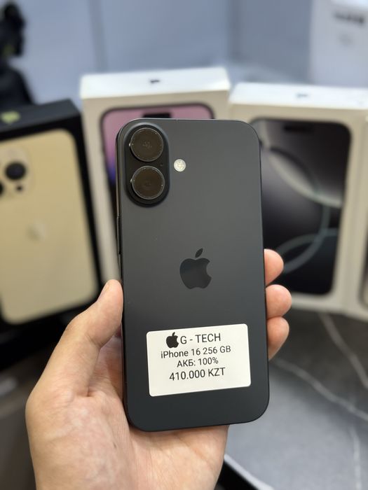 iPhone 16 / 256 / 100%