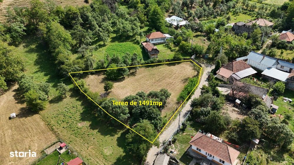 Teren de Vanzare in Plopu - Darmanesti, cu toate utilitatile