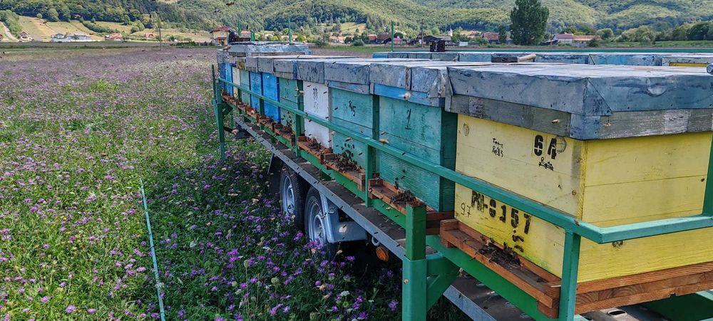 Platformă auto  Apicultor 2700kg