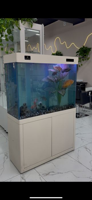 Чистка аквариумов , замена воды аквариума , Профессиональная чистка