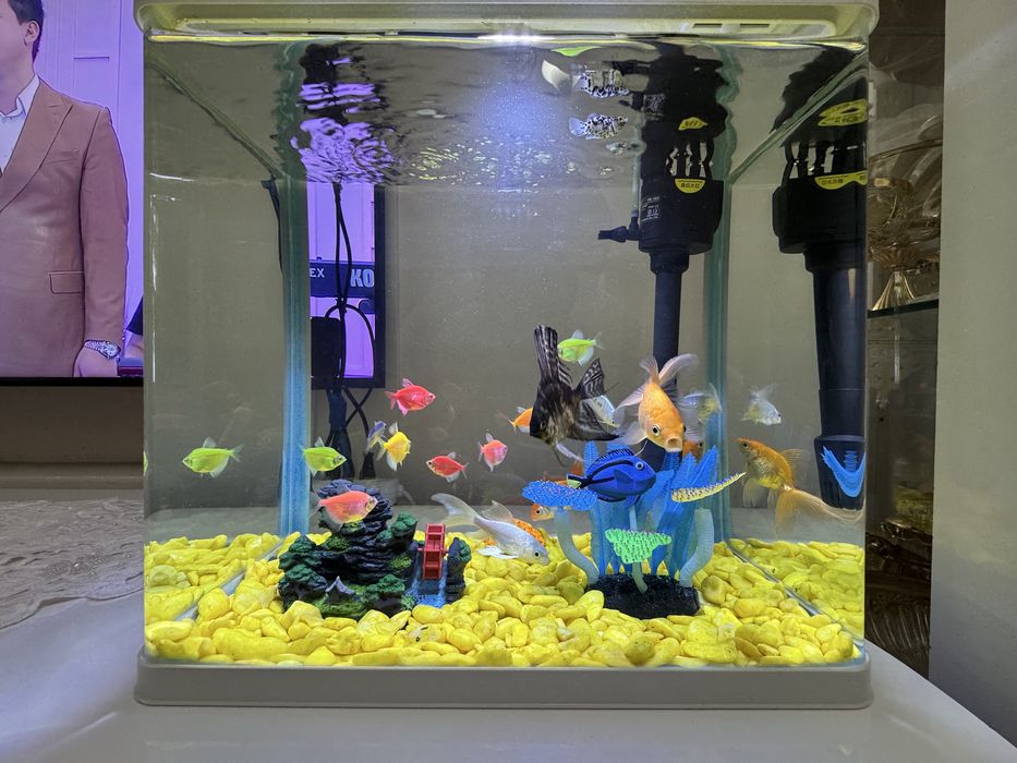 Срочно Аквариум продаю с рыбками