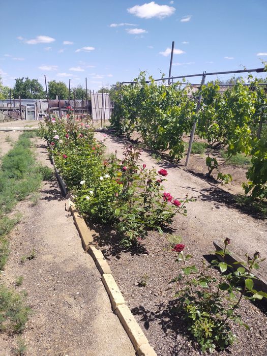 Продается дача 16,73 соток