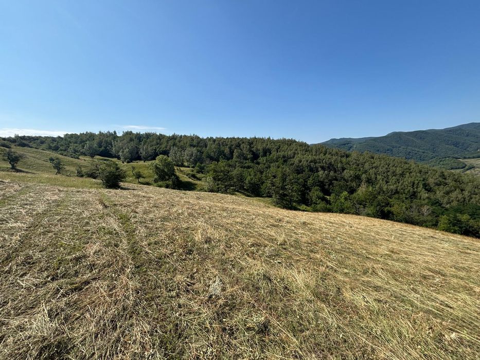 Teren extravilan de vânzare in loc. Nehoiu