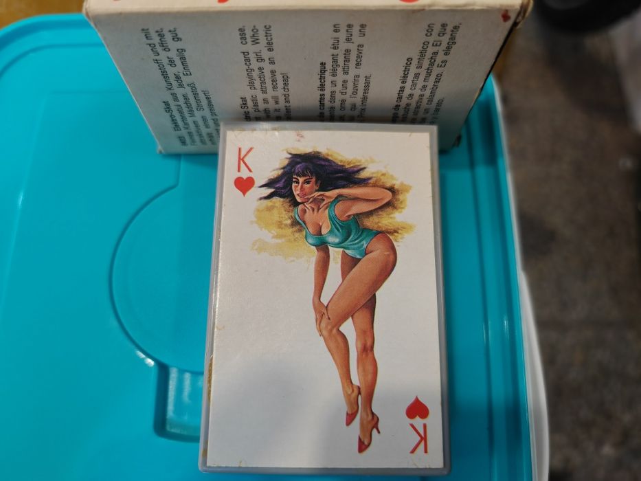 Електро шок от 60 те Pin-up Girls