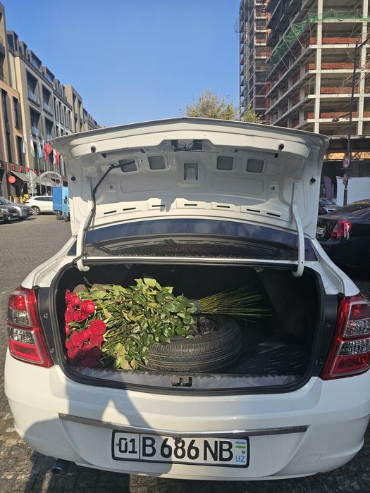 Cobalt AT 2023 + prapan 4-p