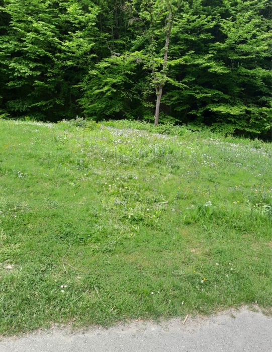 Teren Intravilan DE VANZARE