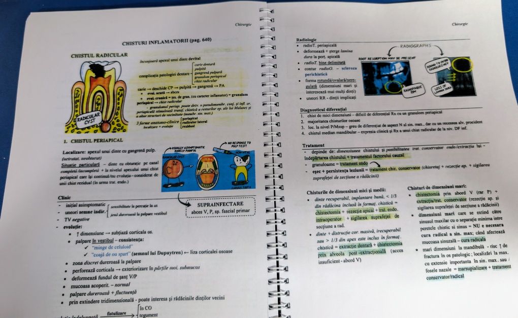 Sinteze Rezidențiat Medicină Dentară