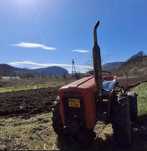 se vinde urgent tractoras