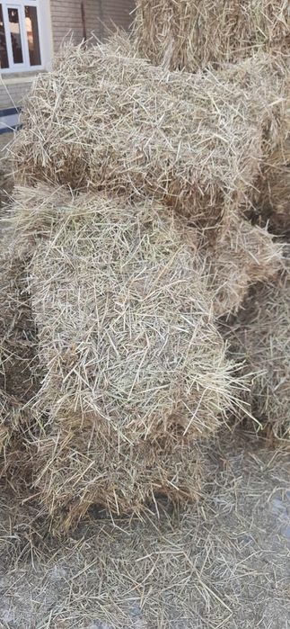 Бугдой пресс сотилади