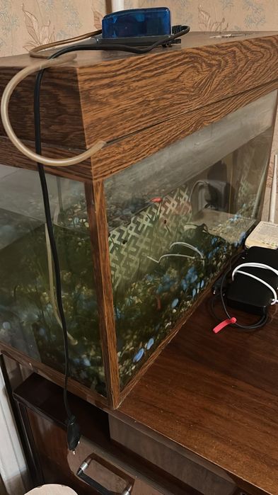 Продам два аквариумы для рыбок