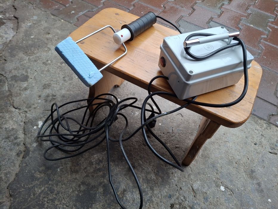 Asomator electric porci