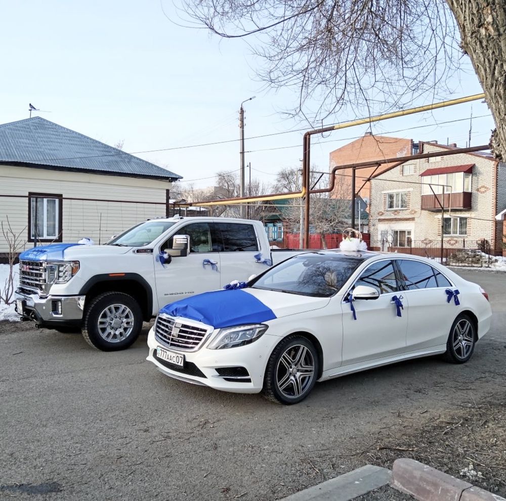 Той және Роддом машинасына оформление беріледі