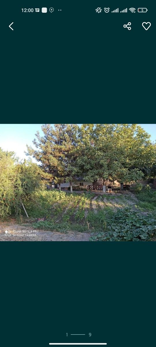 Продается дом  в куйчичрчикском районе
