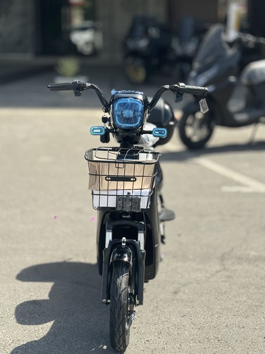 Chontak skuteri optom narxlarda