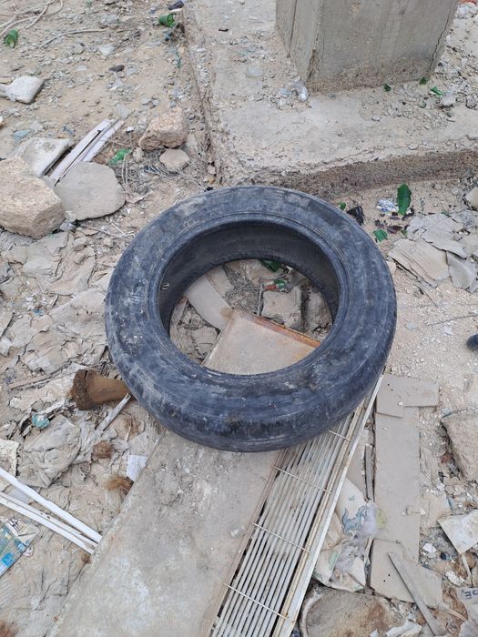 Гәмір бағасы 450