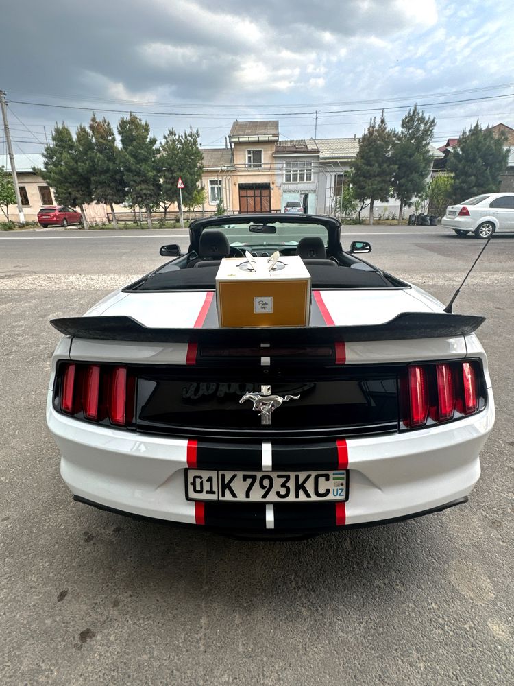 Mustang прокат день 300$