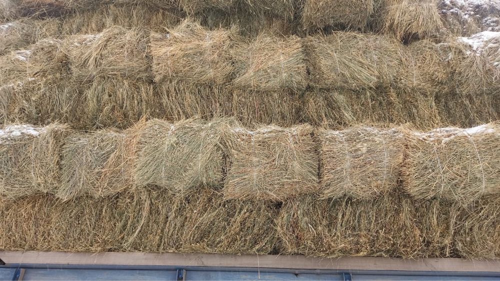 Продам сено, доставка , круглосуточно