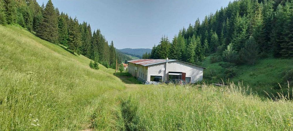 Къща с производствено хале